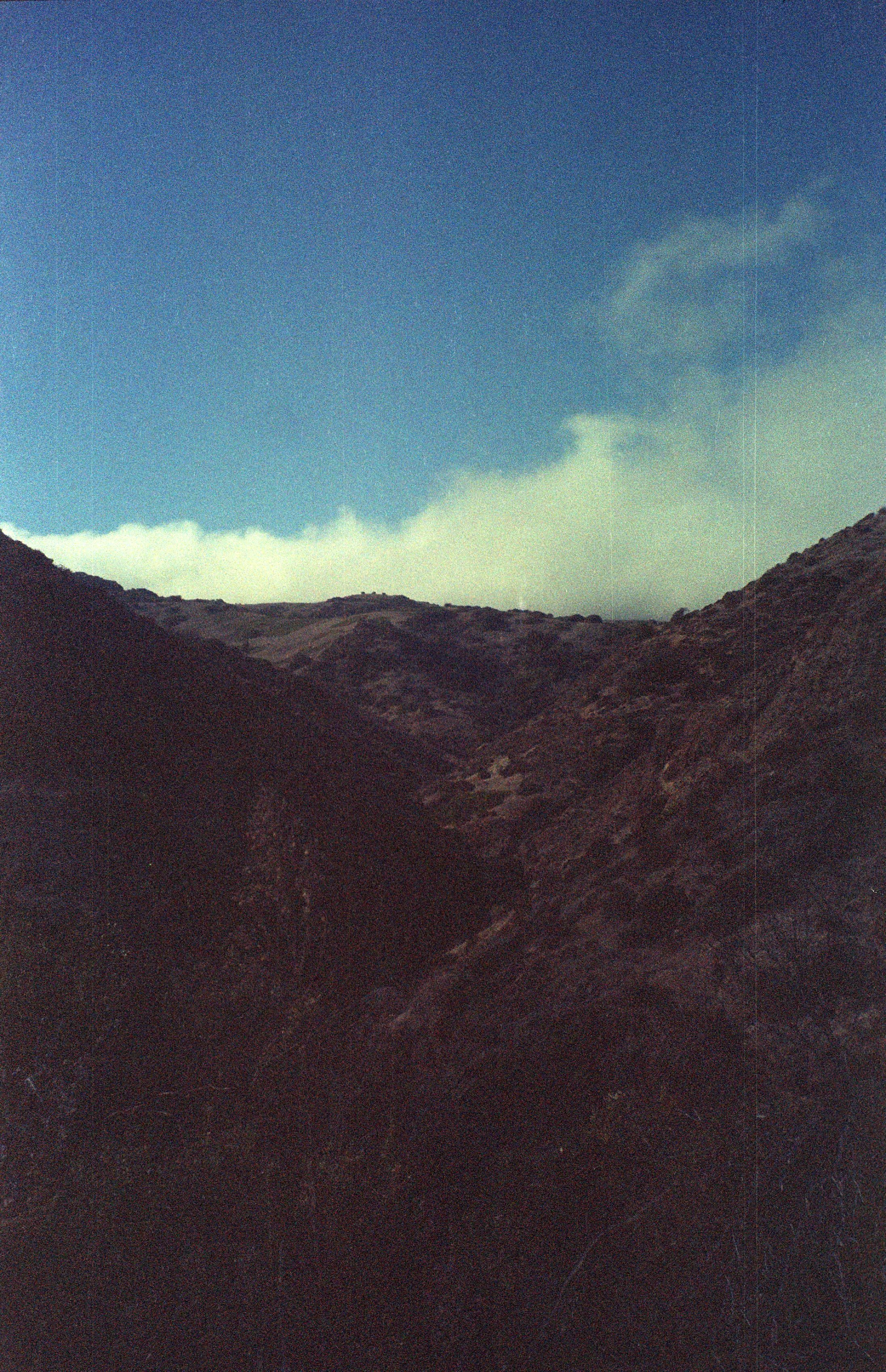 Santa Cruz Island (2024)